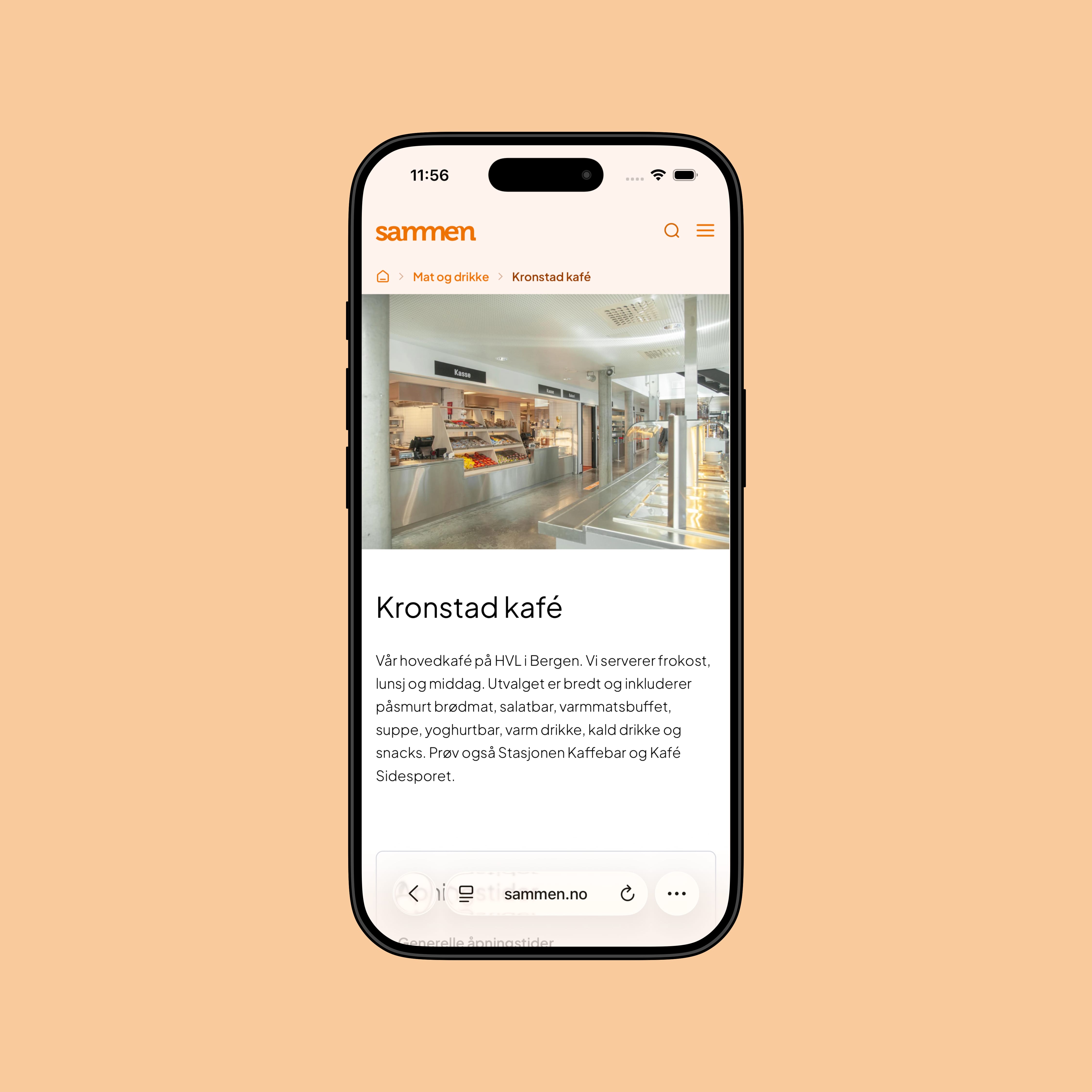 Sammen uoffisielt API